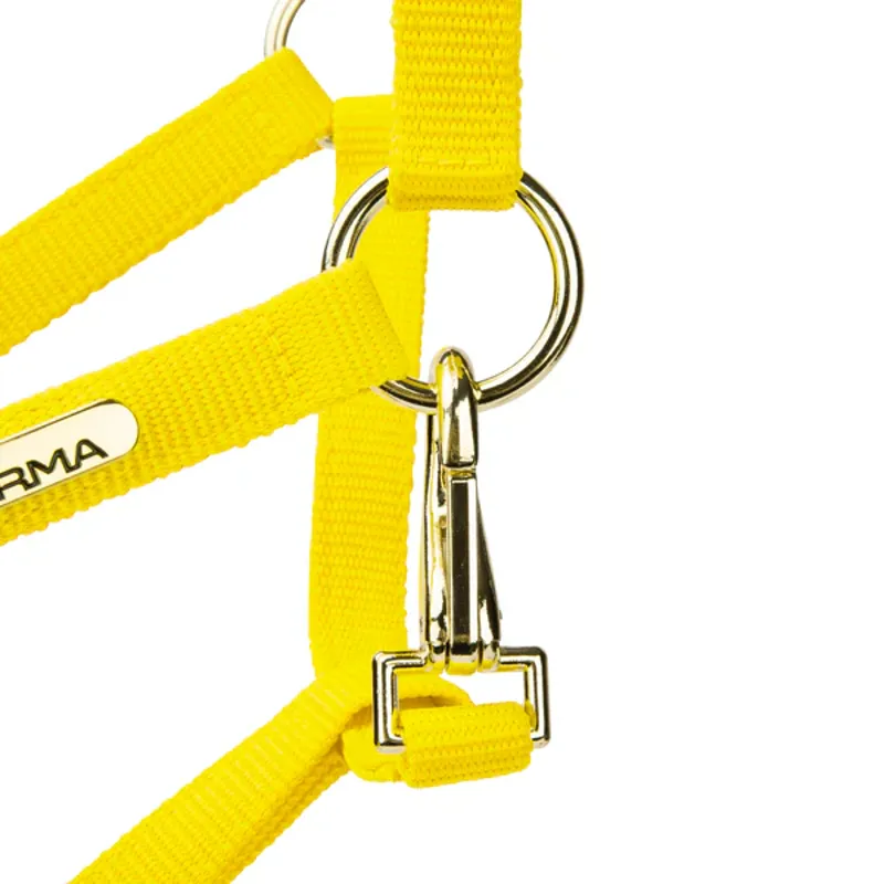 Arma Topaz Nylon Headcollar in Yellow-3