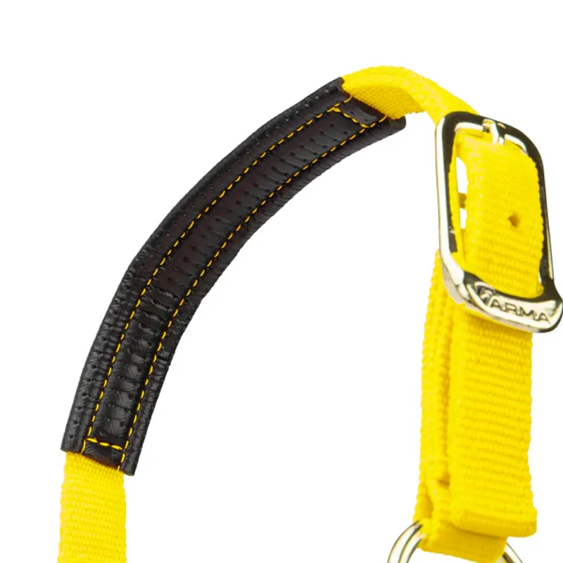 Arma Topaz Nylon Headcollar in Yellow-6