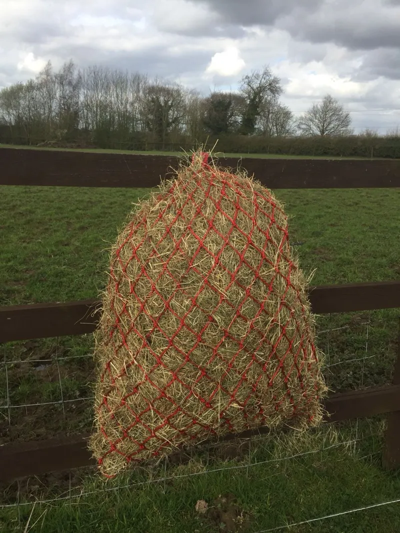 Buckley Bits Haynet Horsehage Large in Red-1
