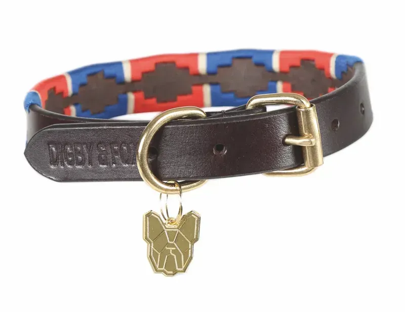 Digby and Fox Drover Polo Dog Collar in Navy and Red