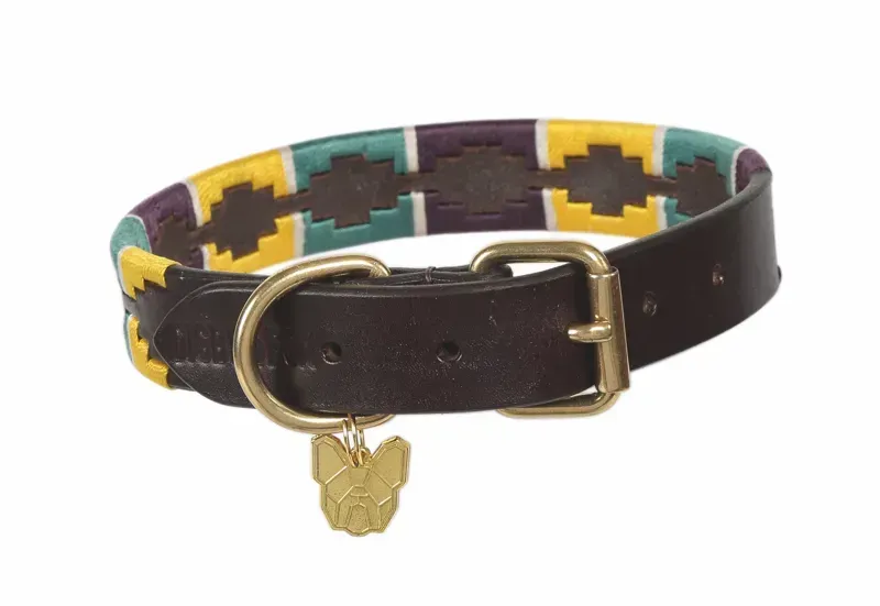 Digby and Fox Drover Polo Dog Collar in Yellow/ Dark Green and Purple