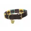 Digby and Fox Drover Polo Dog Collar in Yellow/ Dark Green and Purple