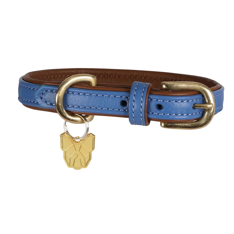 Digby and Fox Leather Padded Dog Collar in Blue