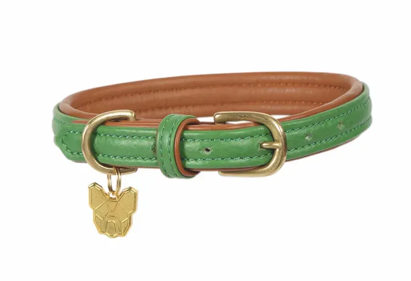 Digby and Fox Leather Padded Dog Collar in Green