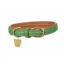 Digby and Fox Leather Padded Dog Collar in Green