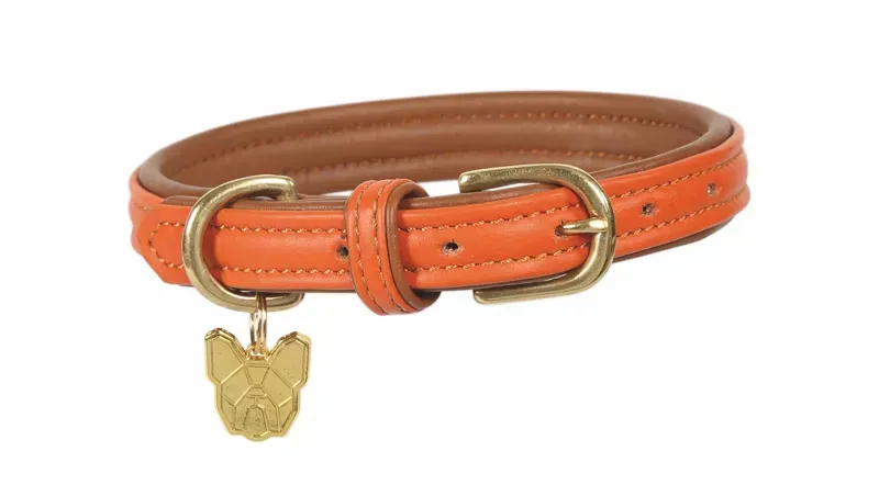 Digby and Fox Leather Padded Dog Collar in Orange