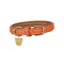 Digby and Fox Leather Padded Dog Collar in Orange