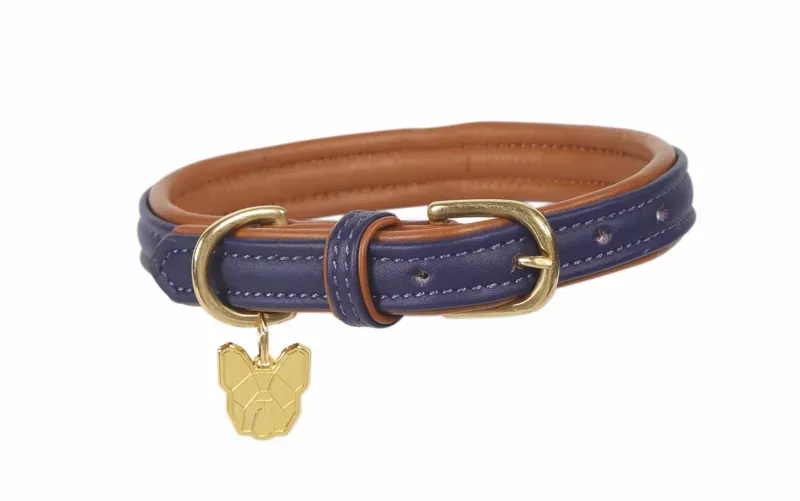 Digby and Fox Leather Padded Dog Collar in Purple