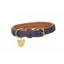 Digby and Fox Leather Padded Dog Collar in Purple
