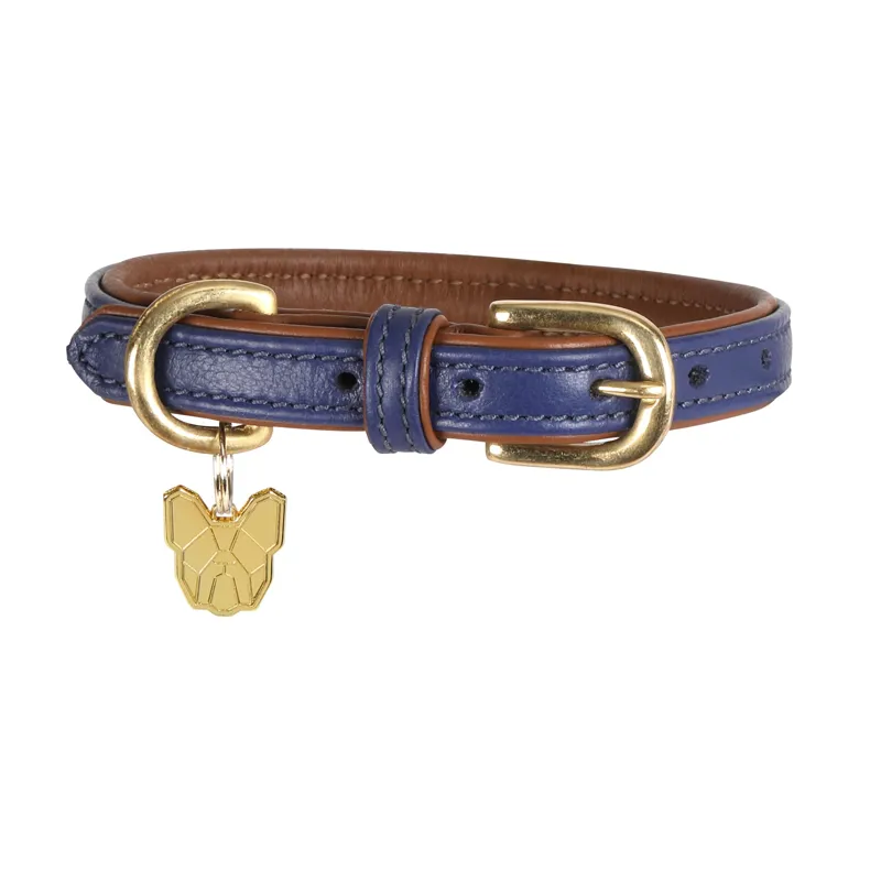 Digby and Fox Leather Padded Dog Collar in Purple-1