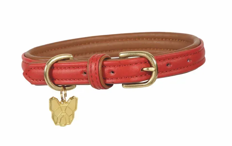 Digby and Fox Leather Padded Dog Collar in Red