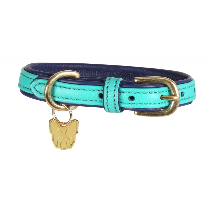 Digby and Fox Leather Padded Dog Collar in Teal