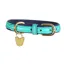 Digby and Fox Leather Padded Dog Collar in Teal