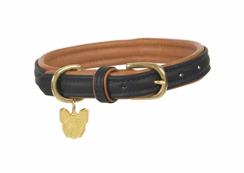 Digby and Fox Padded Leather Dog Collar in Black
