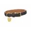Digby and Fox Padded Leather Dog Collar in Black