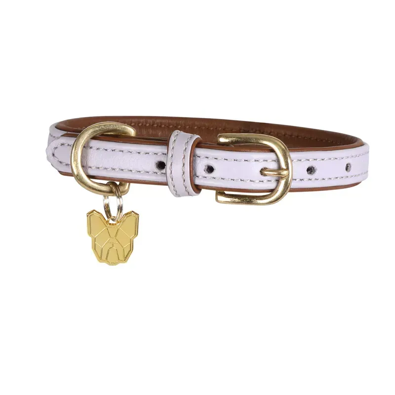 Digby and Fox Padded Leather Dog Collar in Lilac