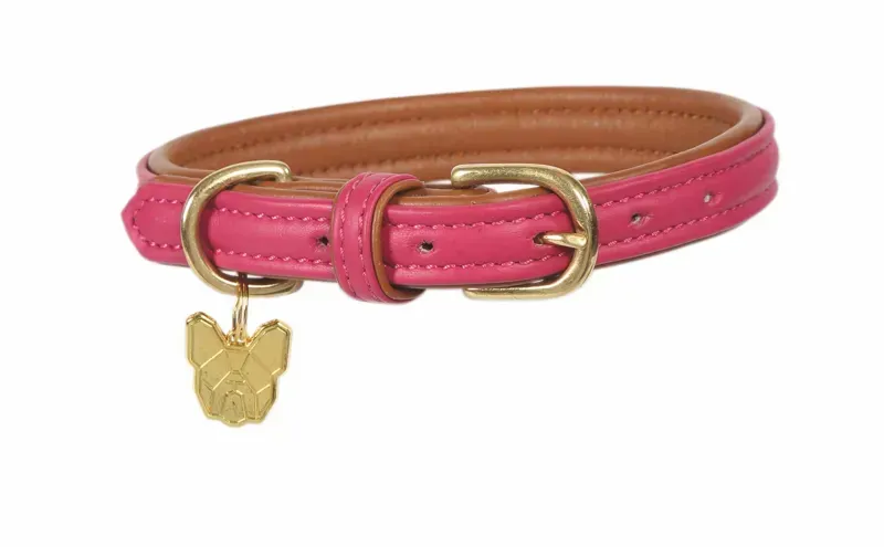 Digby and Fox Padded Leather Dog Collar in Pink