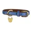 Digby and Fox Padded Leather Dog Collar in Royal