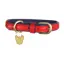Digby and Fox Padded Leather Dog Collar in Scarlett