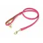 Digby and Fox Padded Leather Dog Lead in Pink