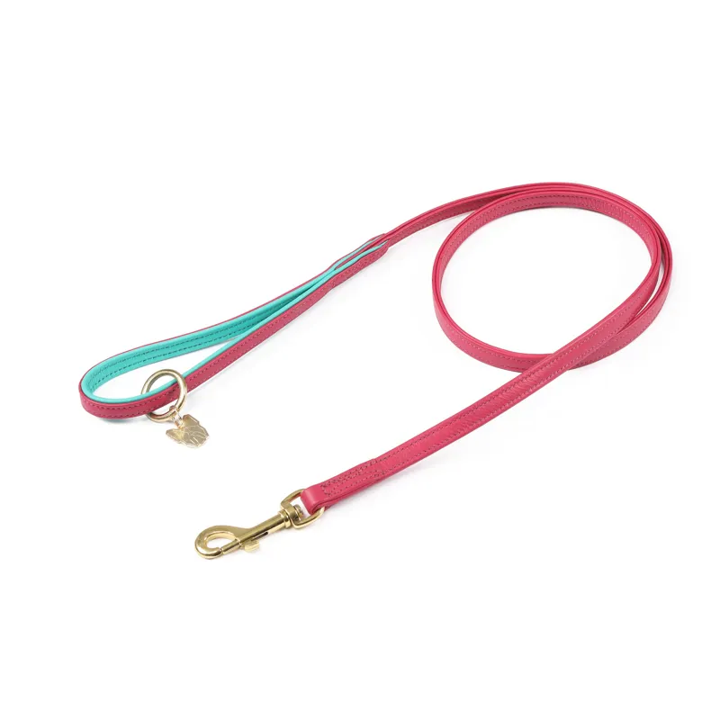 Digby and Fox Padded Leather Dog Lead in Pink-1