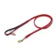 Digby and Fox Padded Leather Dog Lead in Scarlett