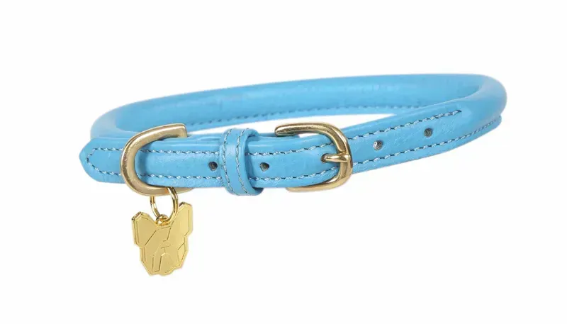 Digby and Fox Rolled Leather Dog Collar in Blue