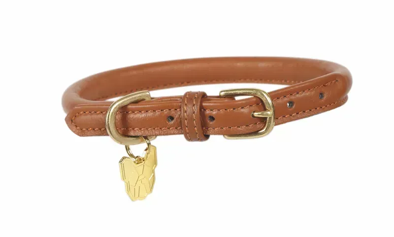 Digby and Fox Rolled Leather Dog Collar in Brown