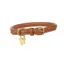 Digby and Fox Rolled Leather Dog Collar in Brown