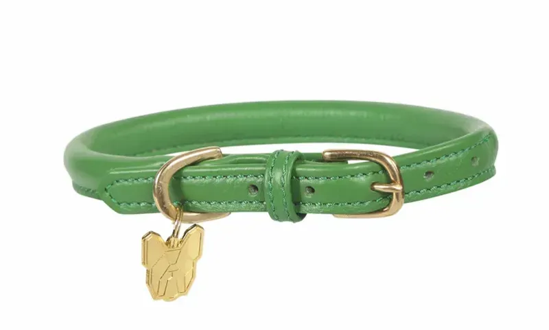 Digby and Fox Rolled Leather Dog Collar in Green