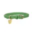 Digby and Fox Rolled Leather Dog Collar in Green