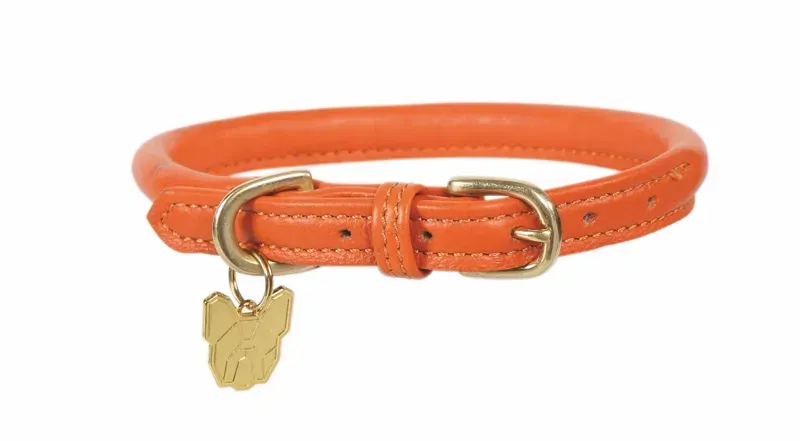 Digby and Fox Rolled Leather Dog Collar in Orange