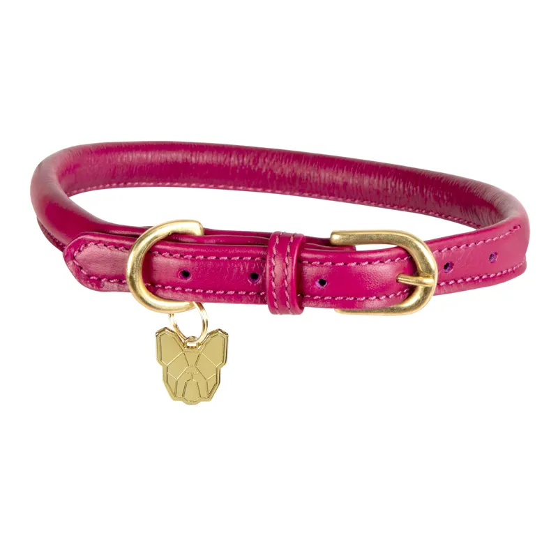 Digby and Fox Rolled Leather Dog Collar in Pink