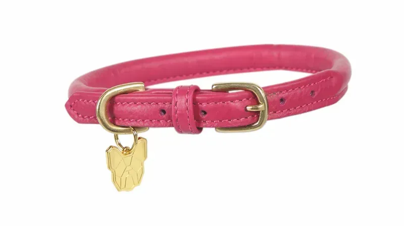 Digby and Fox Rolled Leather Dog Collar in Pink-1