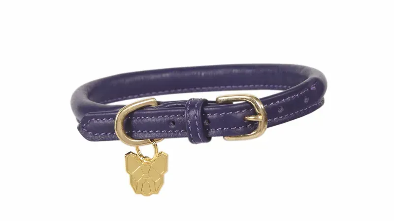 Digby and Fox Rolled Leather Dog Collar in Purple