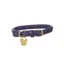 Digby and Fox Rolled Leather Dog Collar in Purple