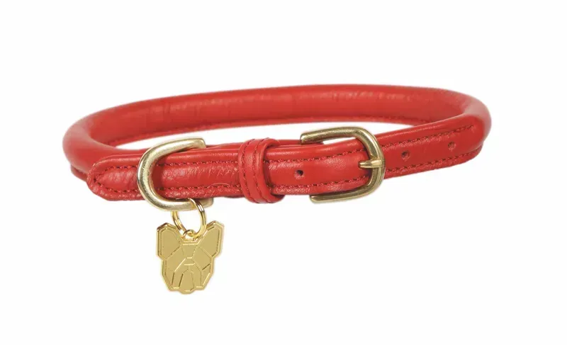 Digby and Fox Rolled Leather Dog Collar in Red