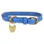 Digby and Fox Rolled Leather Dog Collar in Royal Blue