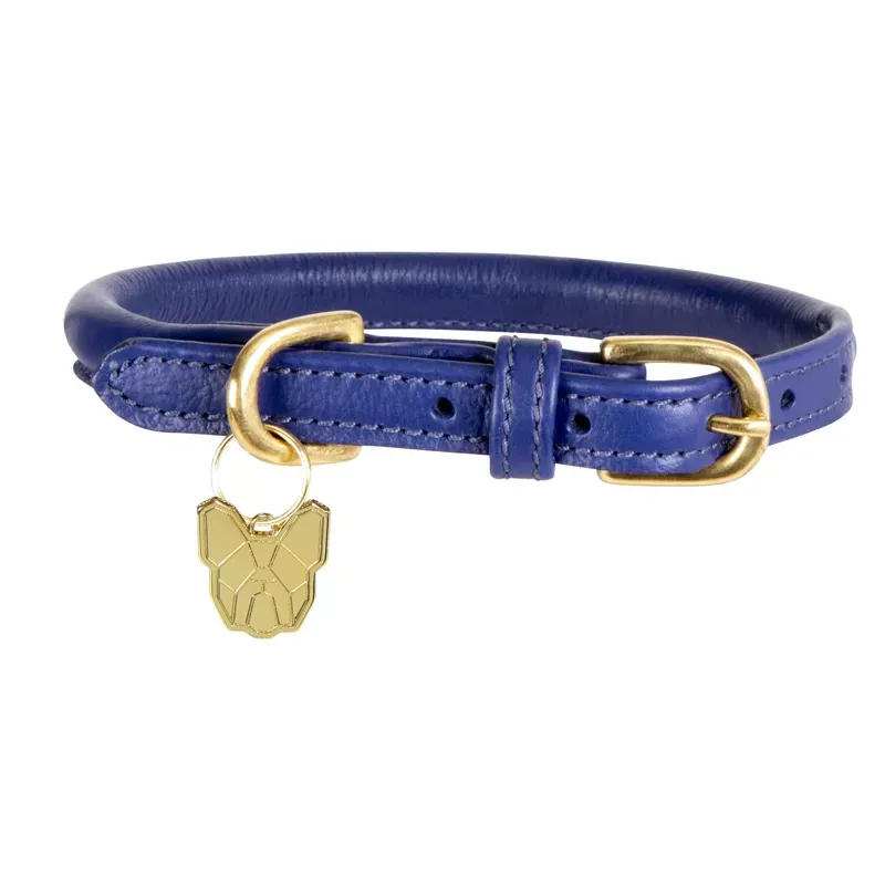 Digby and Fox Rolled Leather Dog Collar in Royal Blue-2