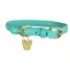 Digby and Fox Rolled Leather Dog Collar in Teal