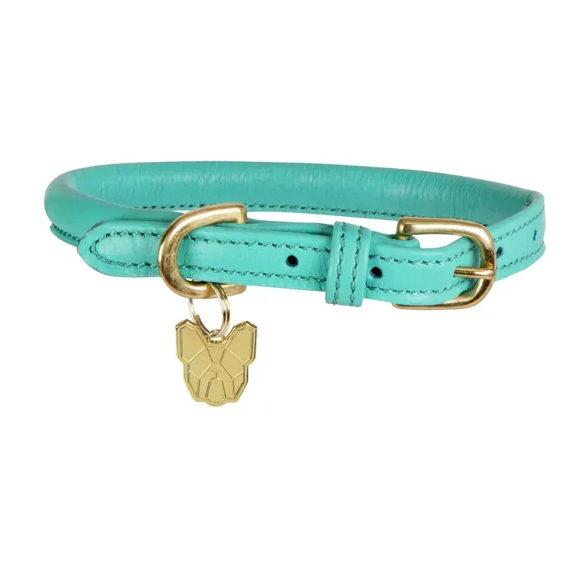 Digby and Fox Rolled Leather Dog Collar in Teal-1