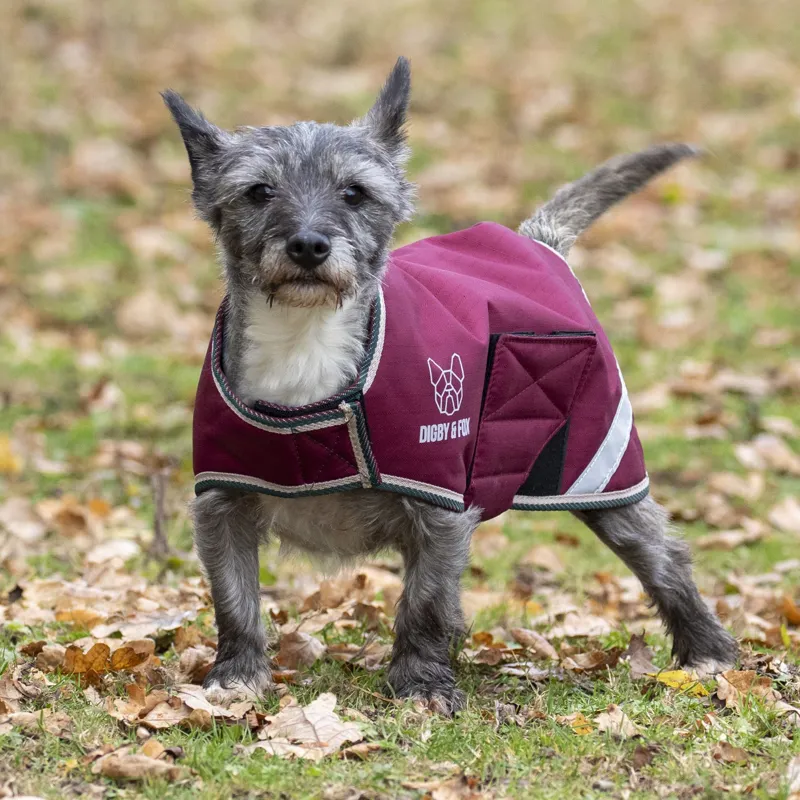 Digby and Fox Waterproof Dog Coat in Burgundy-1