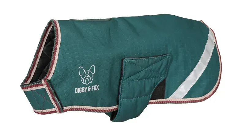 Digby and Fox Waterproof Dog Coat in Forest
