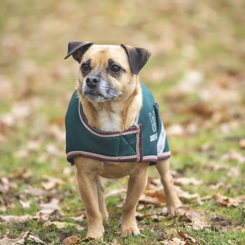 Digby and Fox Waterproof Dog Coat in Forest-1
