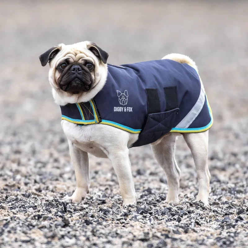 Digby and Fox Waterproof Dog Coat in Grey-1