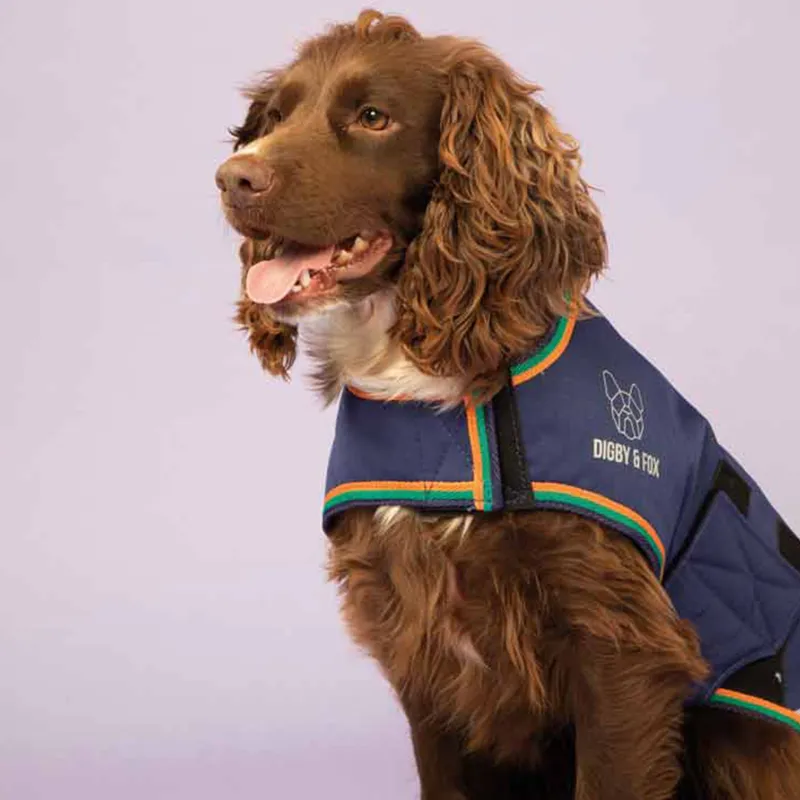 Digby and Fox Waterproof Dog Coat in Indigo-1