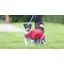Digby and Fox Waterproof Dog Coat in Red