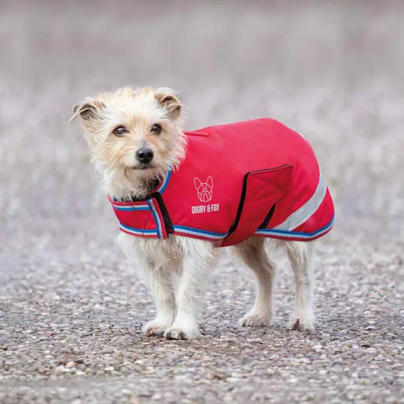 Digby and Fox Waterproof Dog Coat in Red-1
