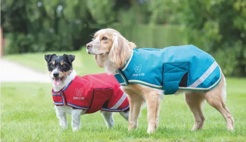 Digby and Fox Waterproof Dog Coat in Teal-1