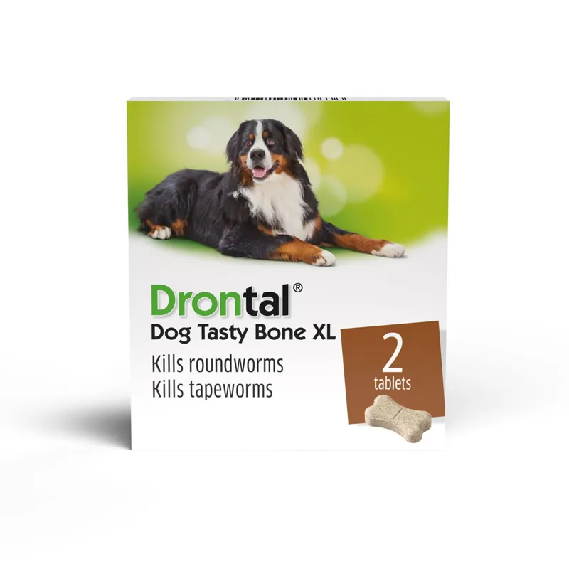 Drontal Dog Tasty Bone XL Wormer Tablets 2 Tablet Pack